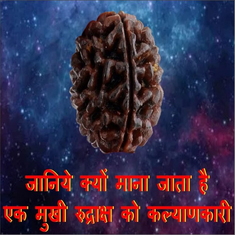 1 mukhi rudraksh min 1