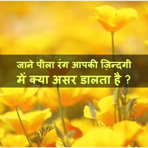 My Post min 5