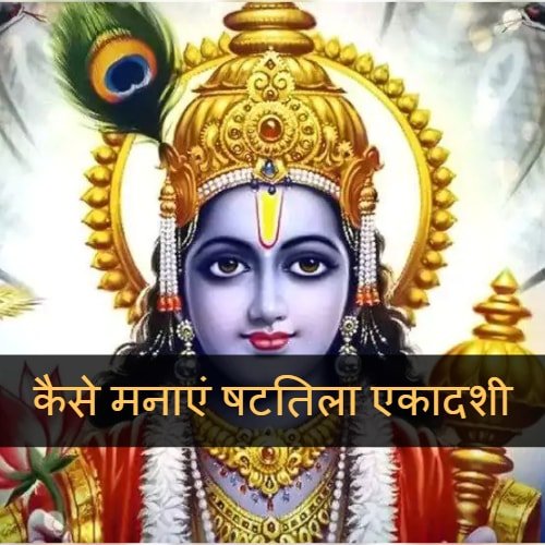 My Post min 6