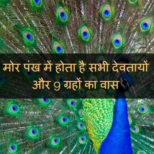 My Post 4 min 1