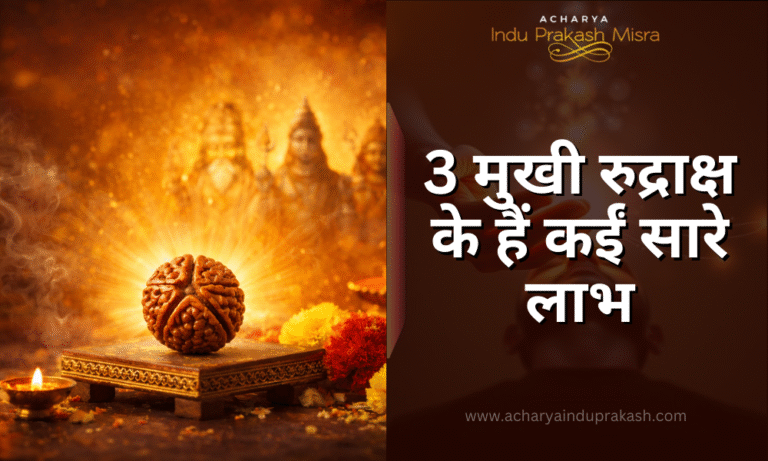 तीन मुखी रुद्राक्ष के हैं कईं सारे लाभ