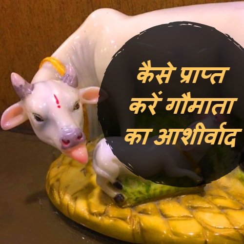 govats dwadashi astrology