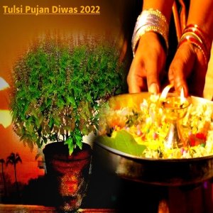तुलसी पूजन दिवस