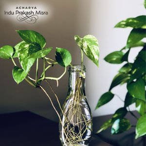 वास्तुशास्त्र की दृष्टि से