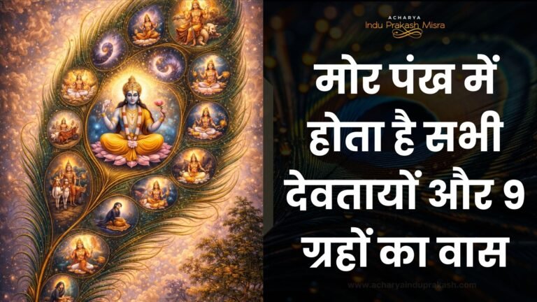 मोर पंख