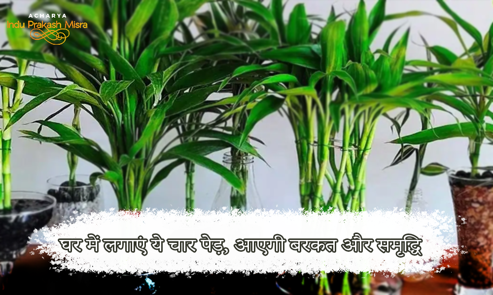 vastu tree fe