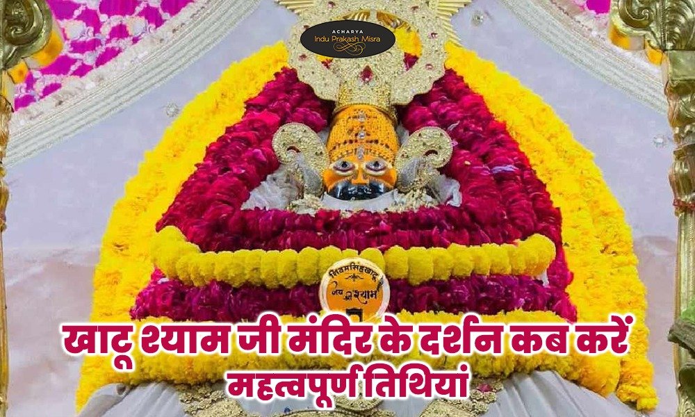 WhatsApp Image 2025 05 13 at 5.16.52 PM